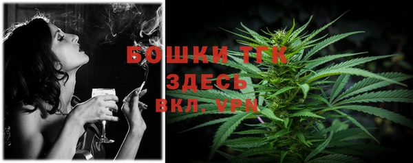 таблы Новодвинск