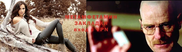 прущие грибы Няндома