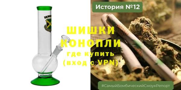 прущие грибы Няндома