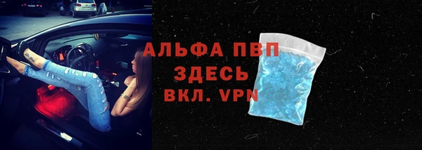 прущие грибы Няндома