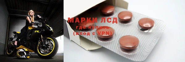 винт Галич