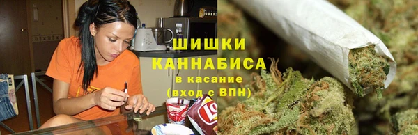 стаф Вязьма