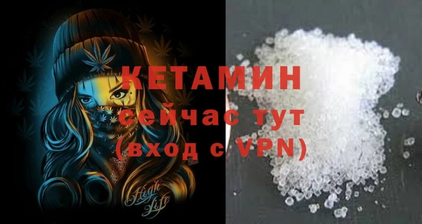 прущие грибы Няндома